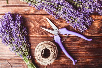 紫色花枝和剪刀摄影图