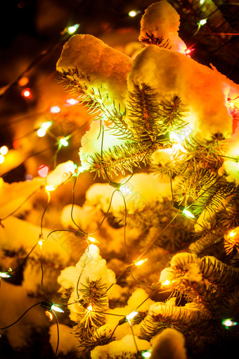 暗色调圣诞树的彩灯摄影图
