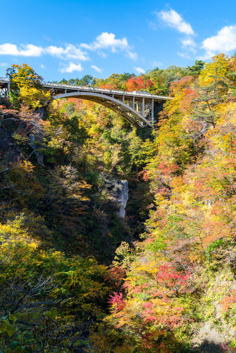 秋天秋季峡谷风景