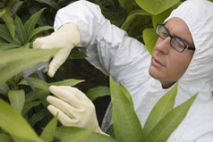 养植物穿防护服男人