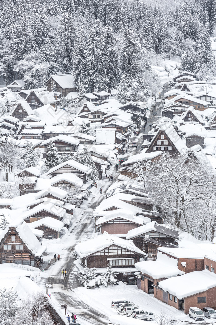 灰色调雪后山村摄影图