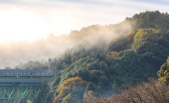 起雾的山坡绿植摄影图