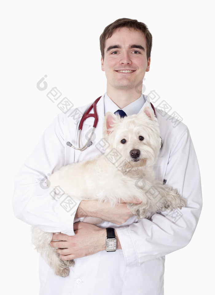 兽医站立抱着小狗
