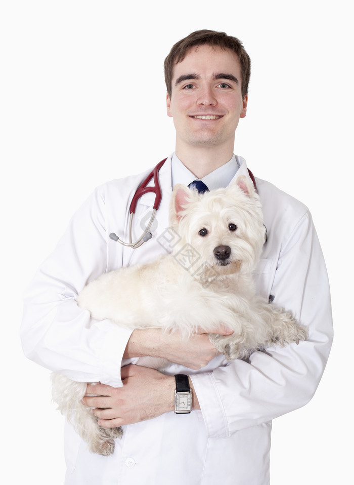 兽医站立抱着小狗图片