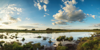深色调美丽的湿地<strong>风光摄影图</strong>