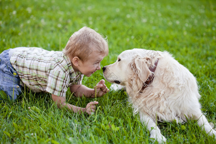 草地上的小男孩和狗