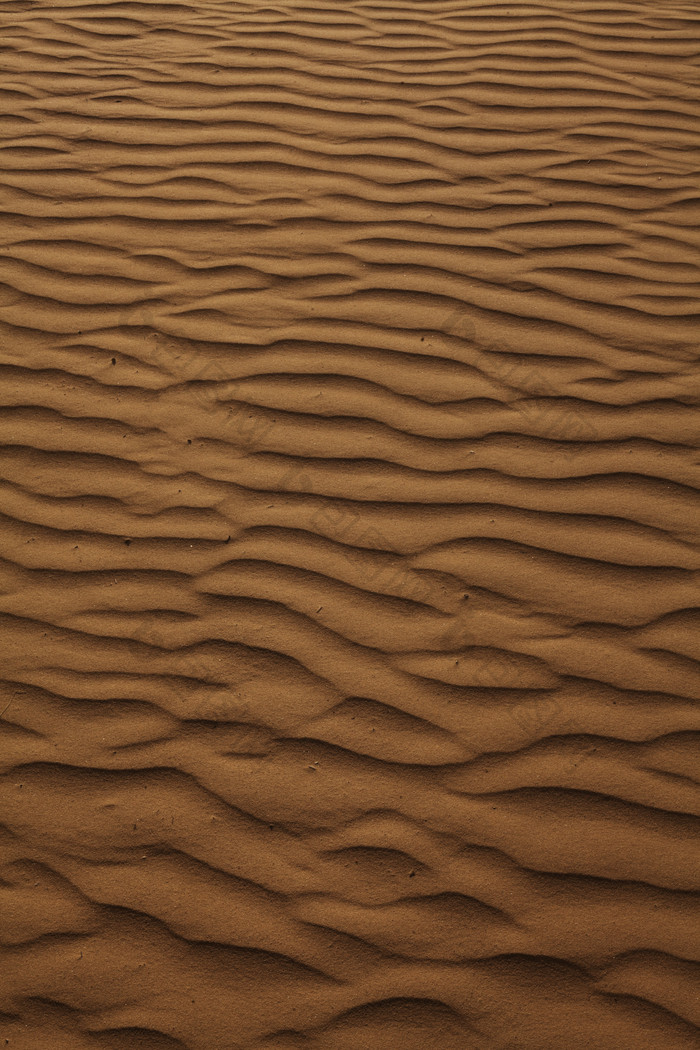 沙漠的景观摄影图