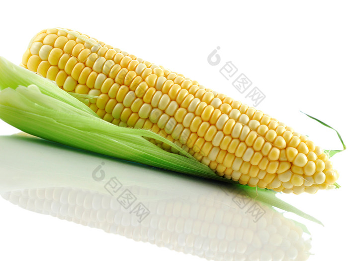 小清新玉米摄影图