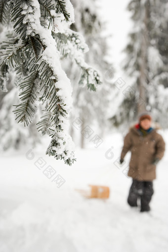 灰色调雪中玩耍摄影图