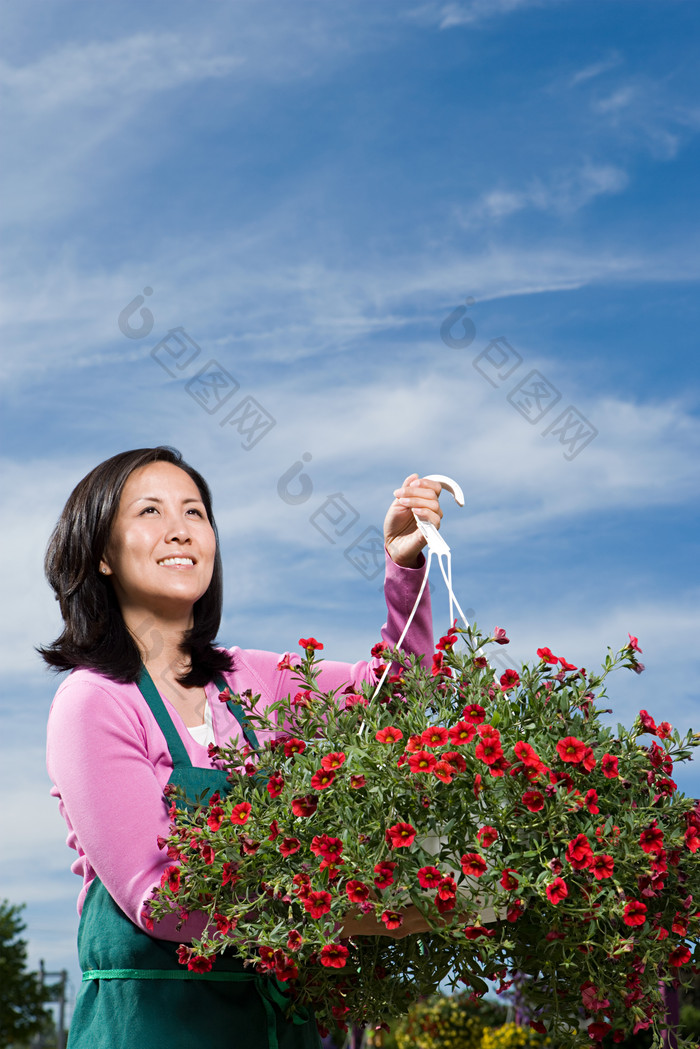 清新拿大花束摄影图