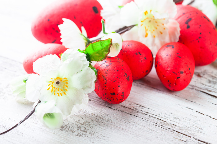 红色鹌鹑蛋和白色花枝