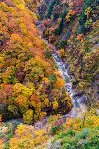 秋季山间河流树木摄影图