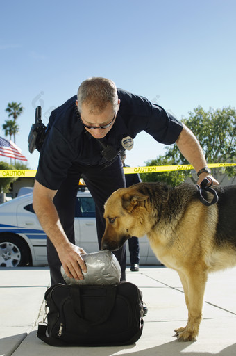 蓝色调警察和警犬摄影图