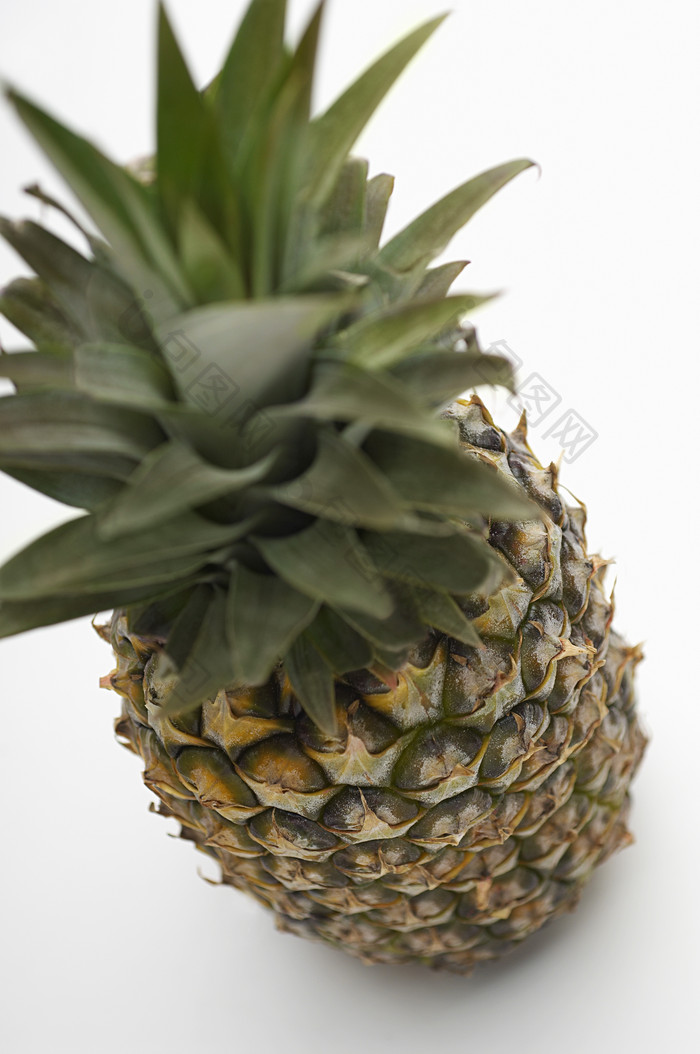 暗色调热带菠萝摄影图