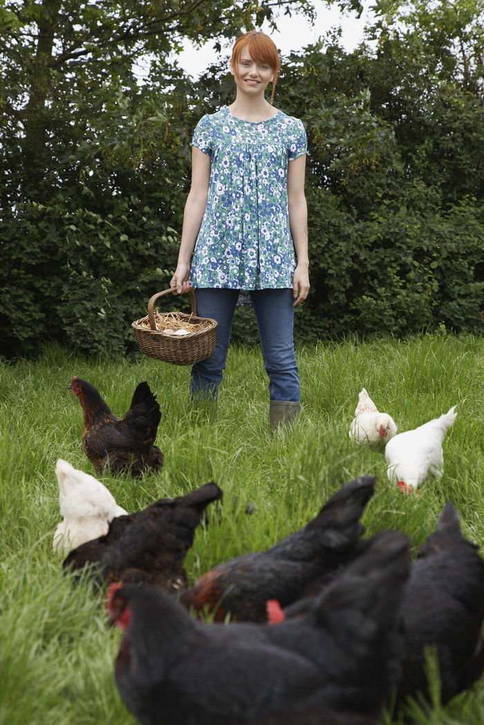 暗色调养鸡的女人摄影图