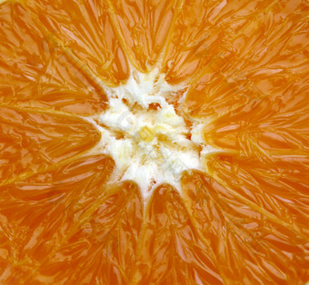 橙色橙子果肉摄影图
