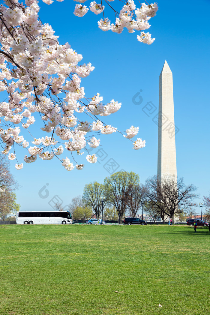 唯美华盛顿纪念碑摄影图