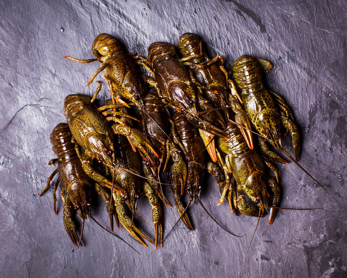 水产海鲜小龙虾摄影图