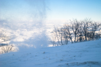 冬季雪山雪景树枝