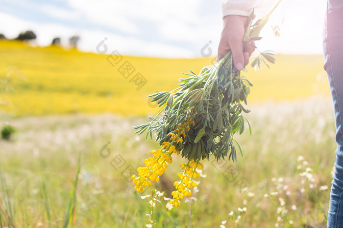 清新拿着花束的人摄影图