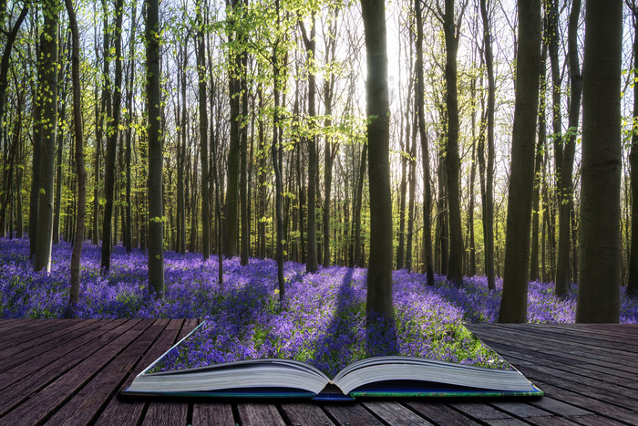 山水画风景画风景摄影初期