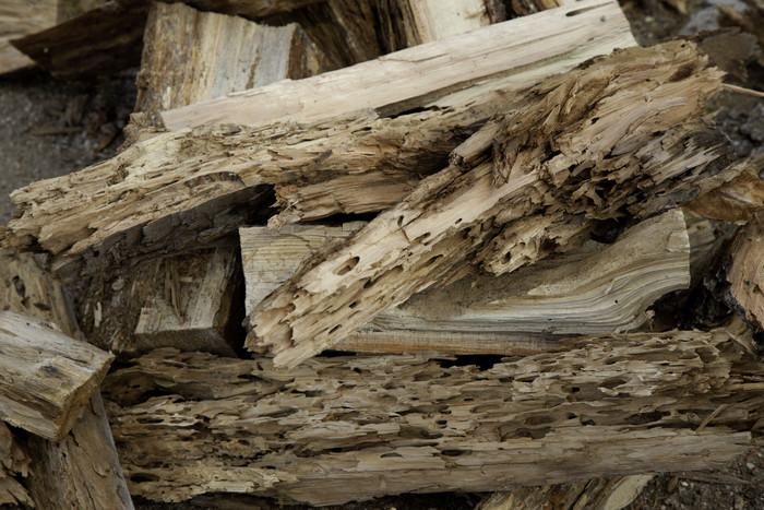 暗色调堆放的木柴摄影图