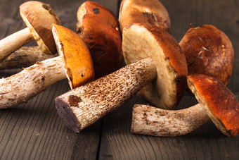 野生蘑菇食材摄影图