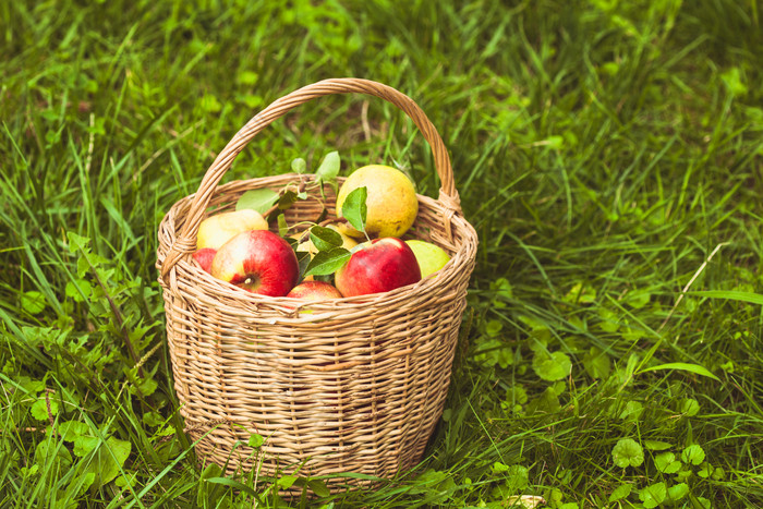 草地上一篮子苹果