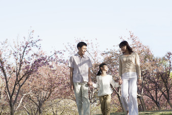 简约风花丛中的家人摄影图