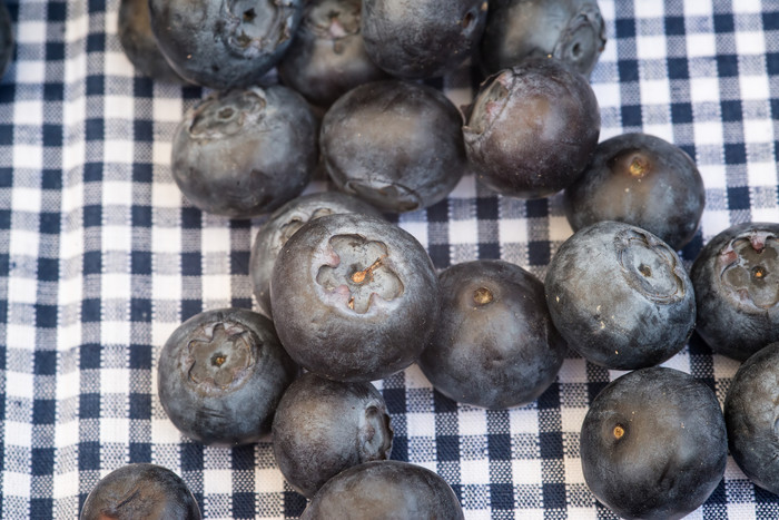 暗色调一些蓝莓水果摄影图