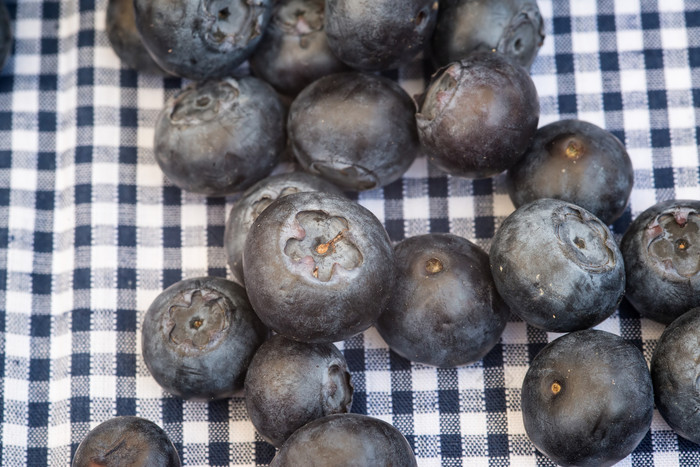 暗色调一些蓝莓水果摄影图