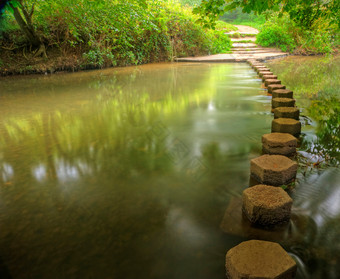 绿色调林中<strong>水塘</strong>摄影图