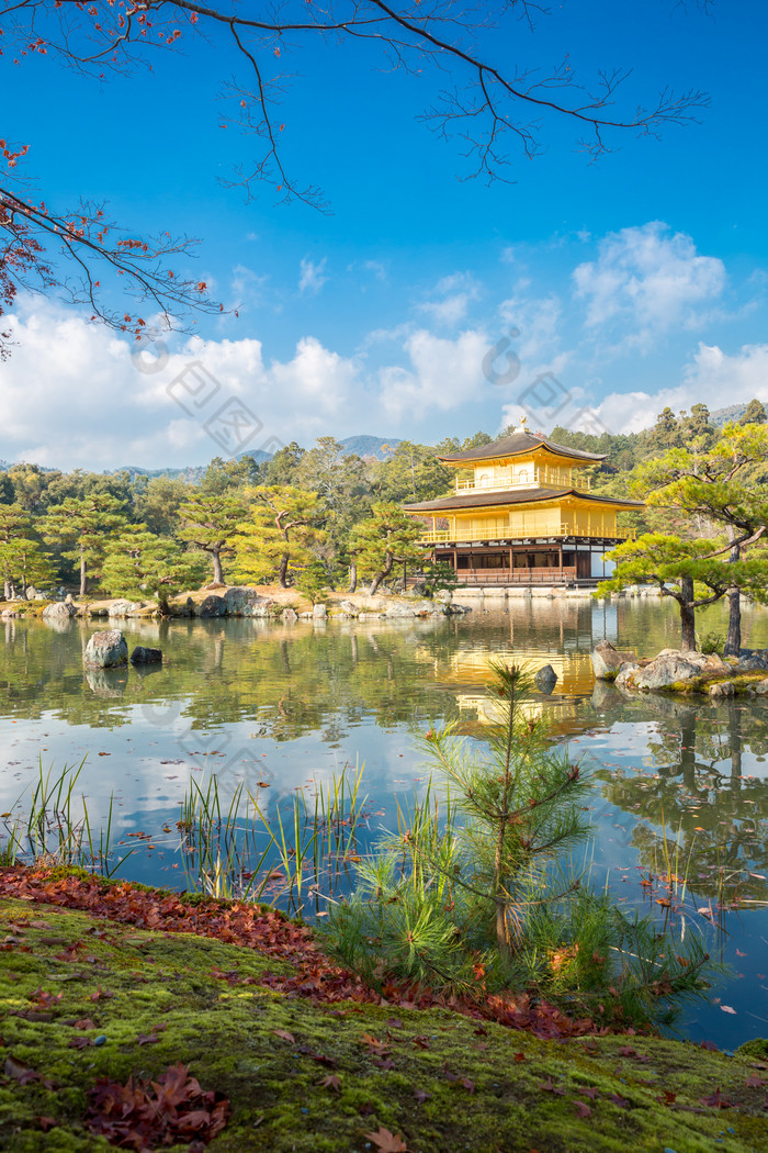 金色京都的美丽景色