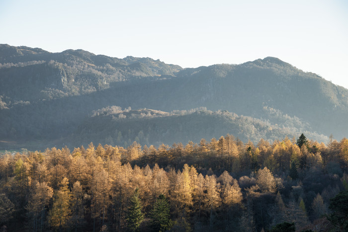 秋季的大山和树林