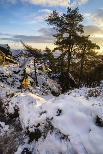 清新雪后的山林摄影图