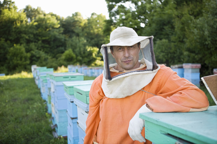 暗色调养蜂人摄影图