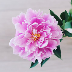 九月十日教师节UI设计启动页图片