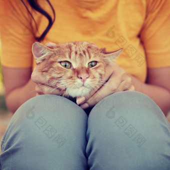 小女孩抱着橘色的猫咪