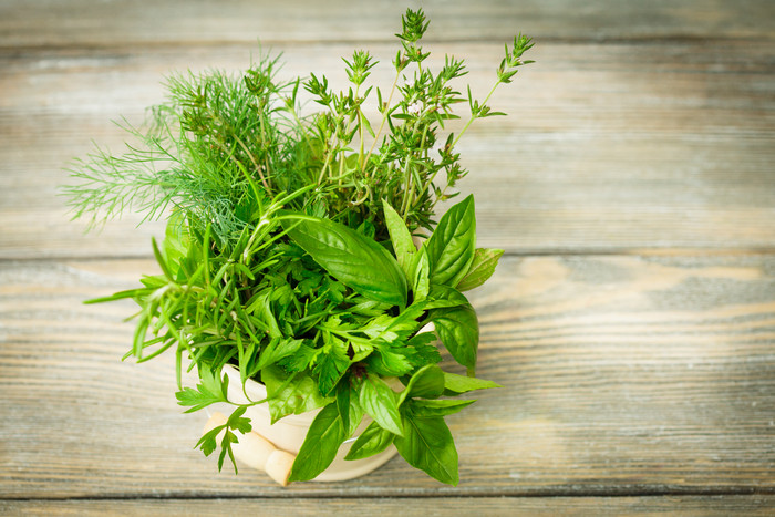 花盘里的绿色植物