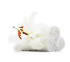 毛巾白色花卉摄影图