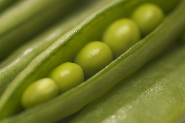 绿色新鲜的豌豆摄影图