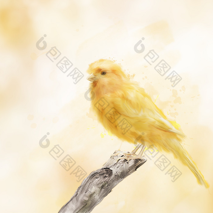 枯枝木头上的黄色小鸟