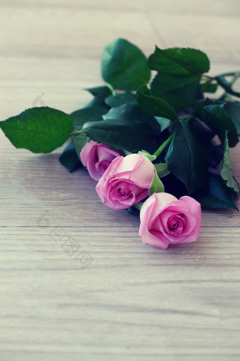 桌子的粉色玫瑰花