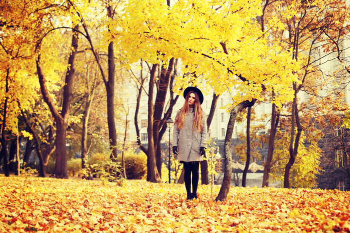 秋天黄色树枝下的美女