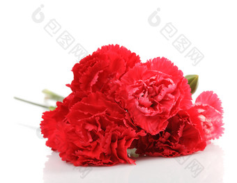 <strong>娇艳</strong>的红色鲜花花朵