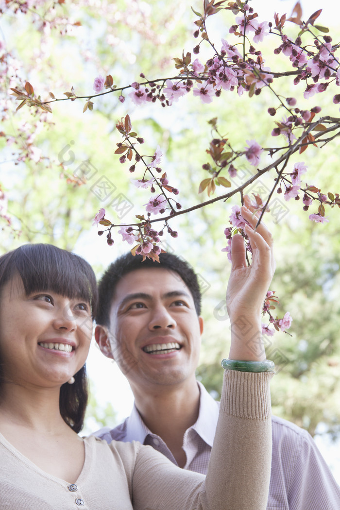 清新赏花的夫妻摄影图