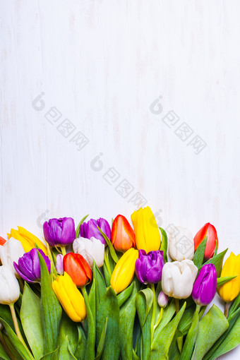 桌面上的多彩郁金香花卉