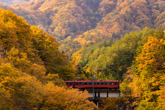 秋天成熟期凋零期枫叶山脉<strong>大</strong>自然景色