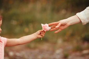 女孩手里的粉色花朵