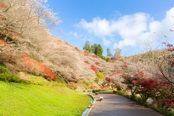 唯美名古屋摄影图